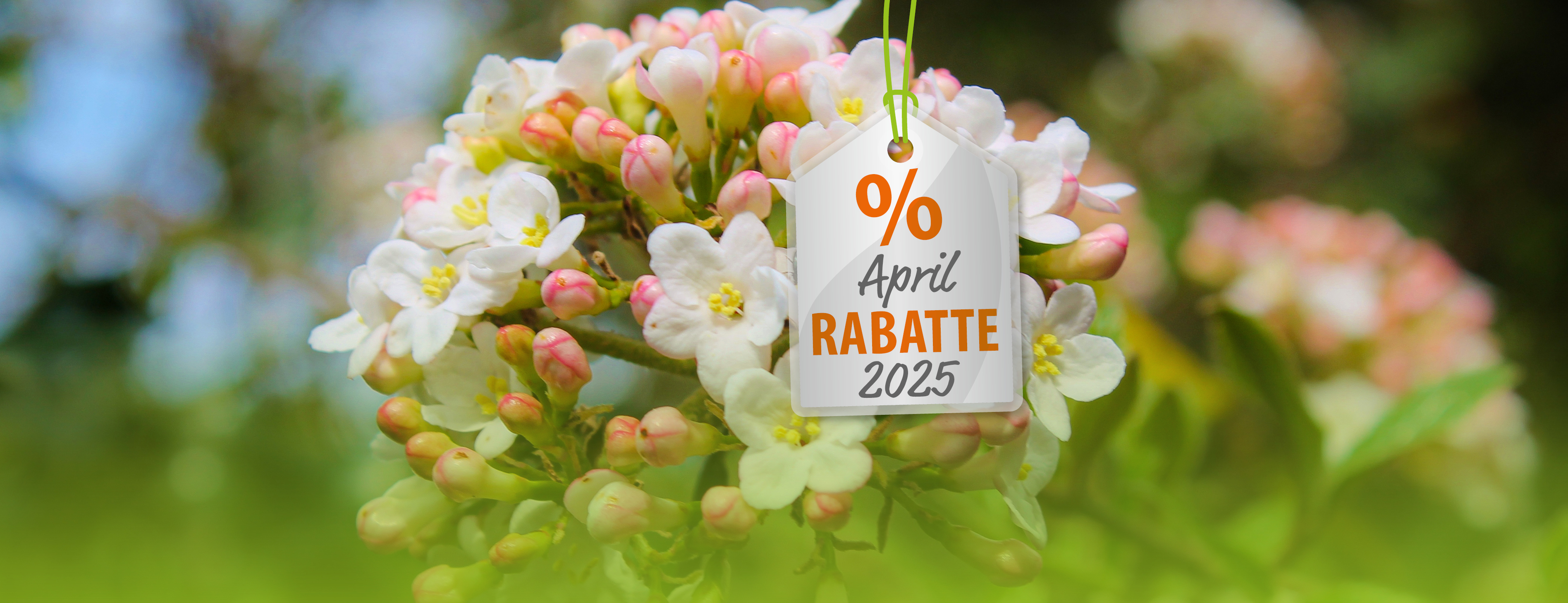 Kein April-Scherz: 30 % Rabatt