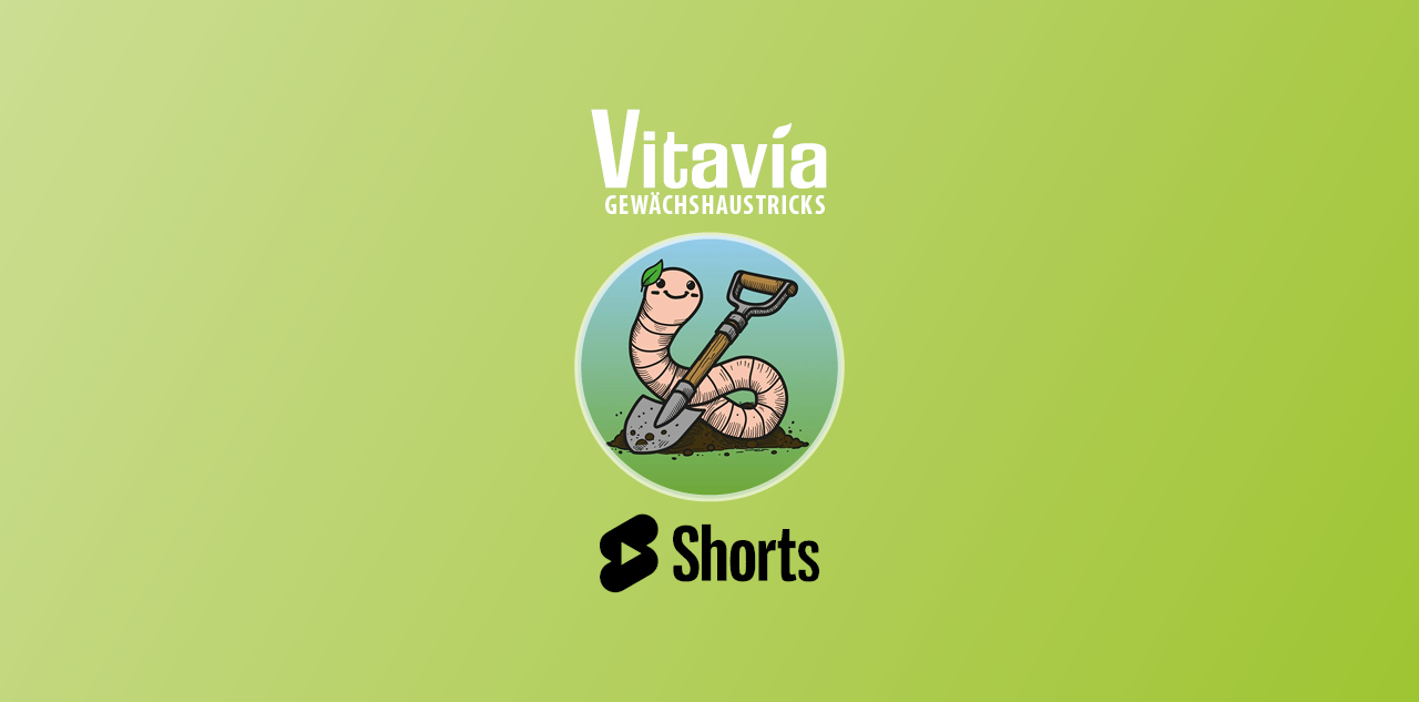 ANkndigung_YT-Shorts_2