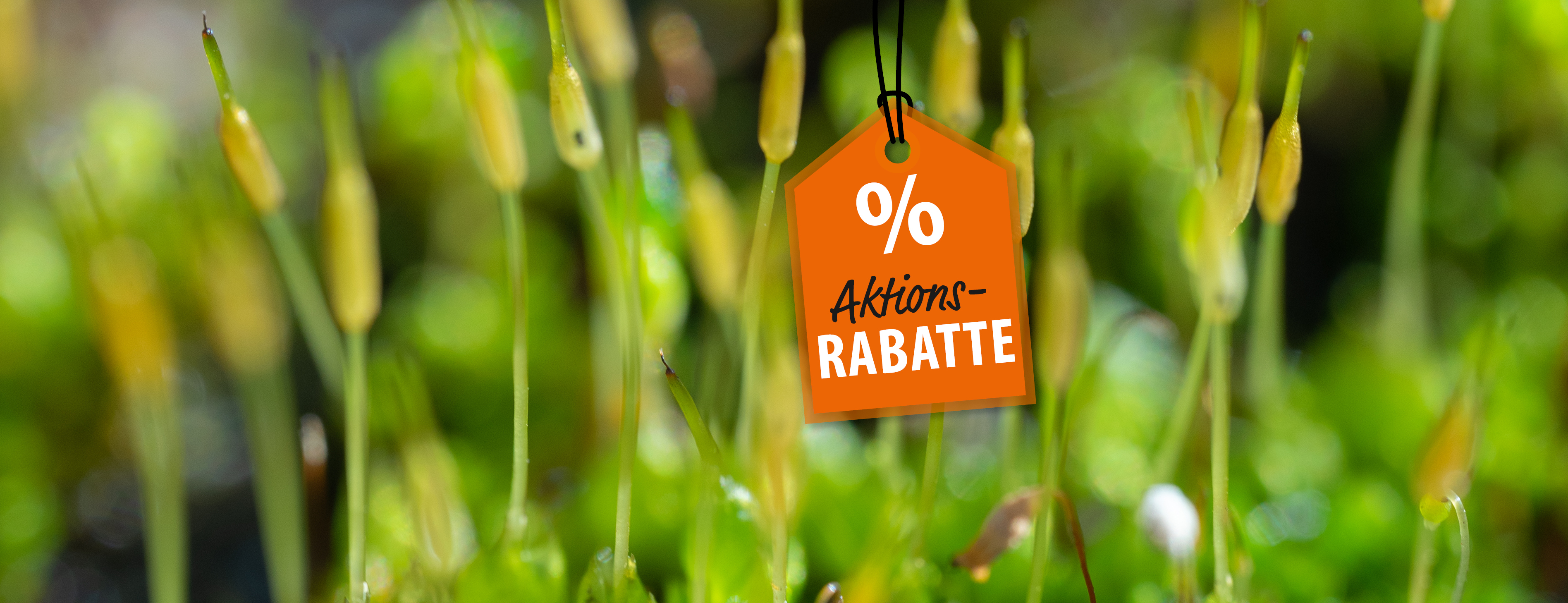 header_Webbanner_Maerz