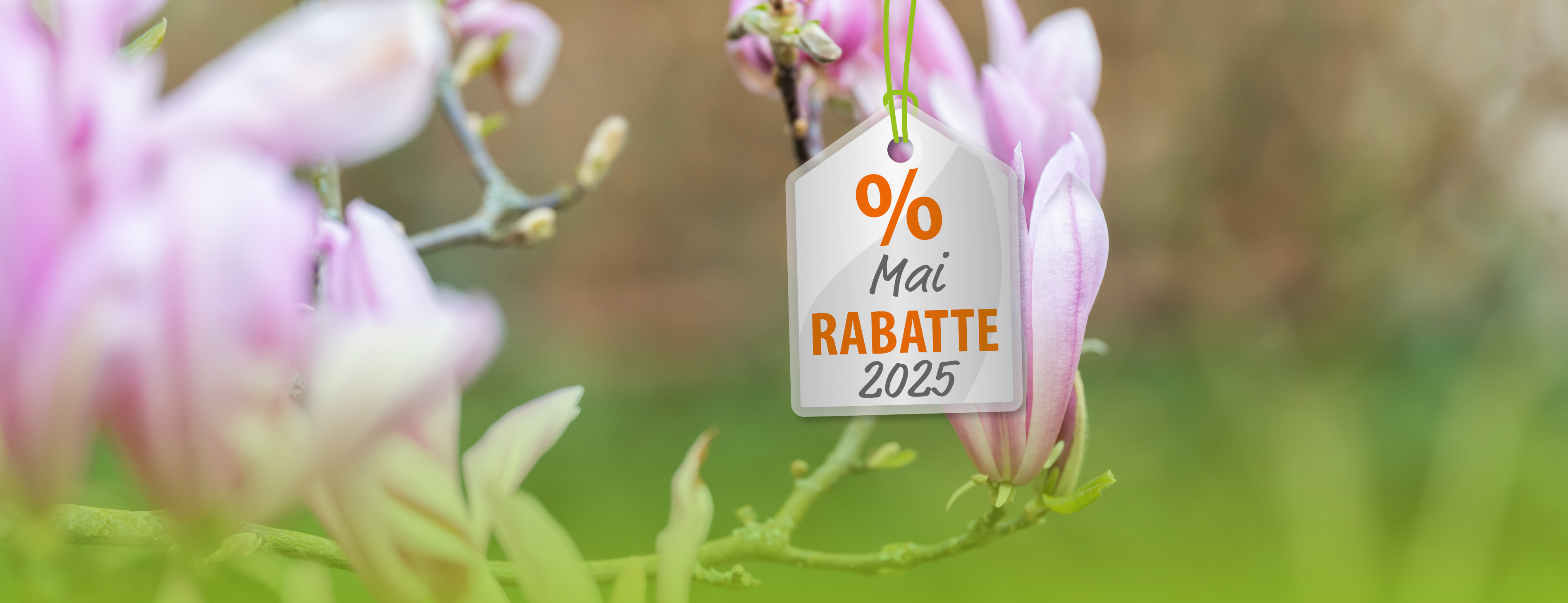 Mai-Rabatte 2025: bis zu 40 % sparen!