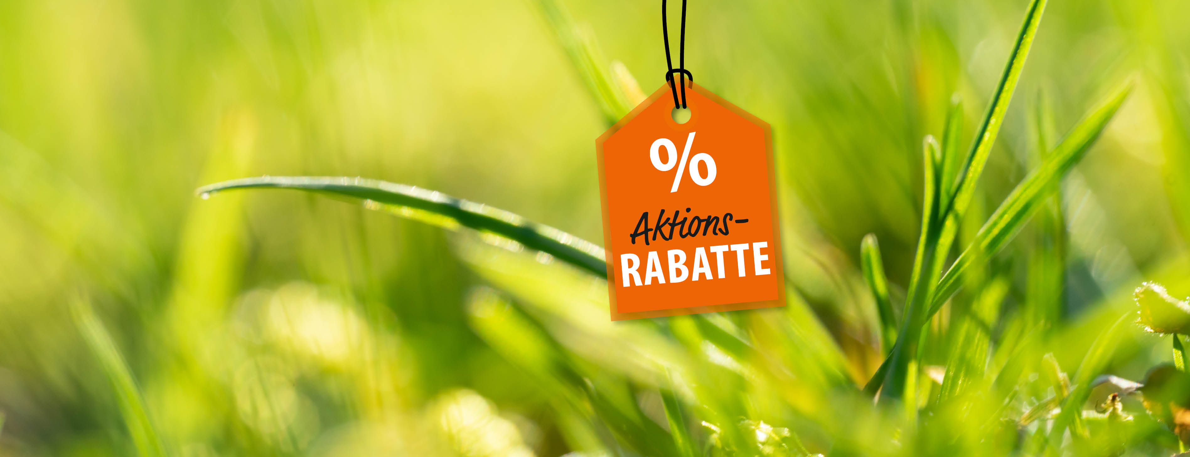 Header_Dezember_2023