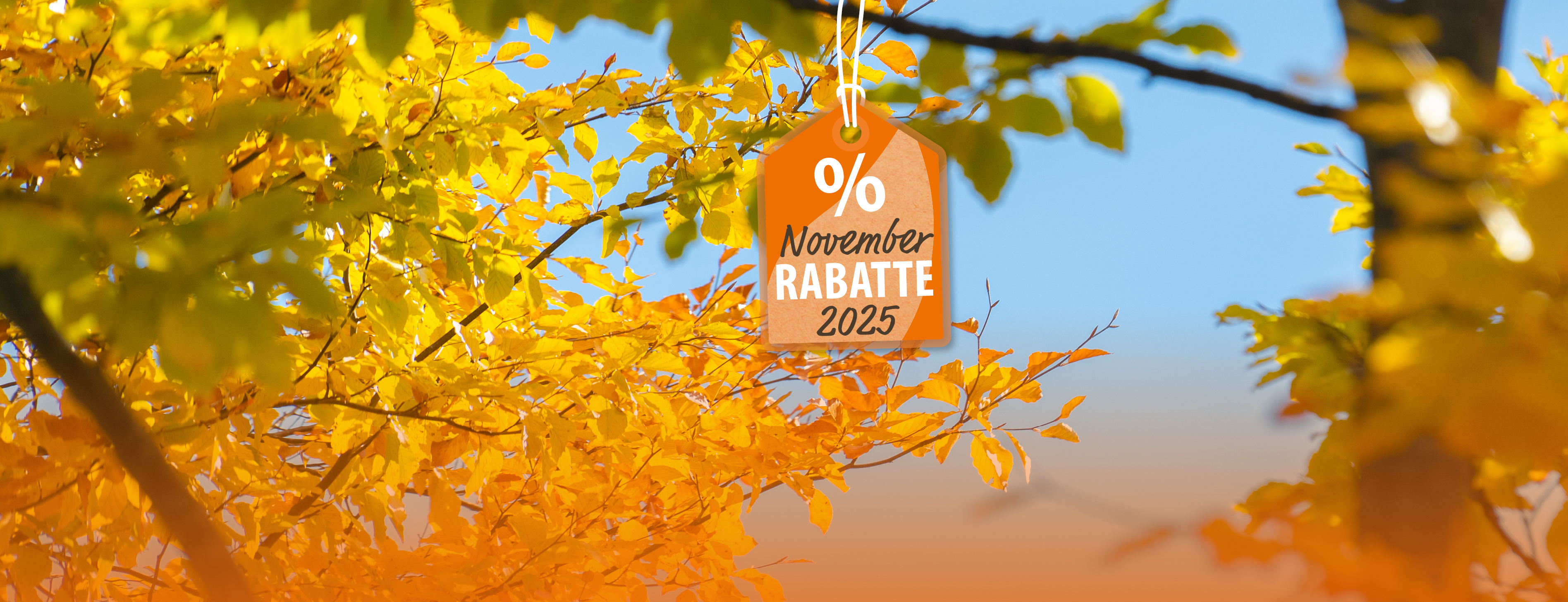 Header Banneraktion November 2025