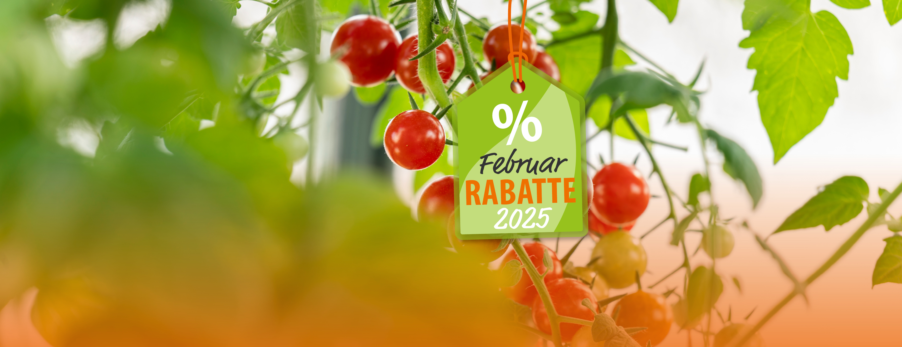 header_Webbanner_Februar