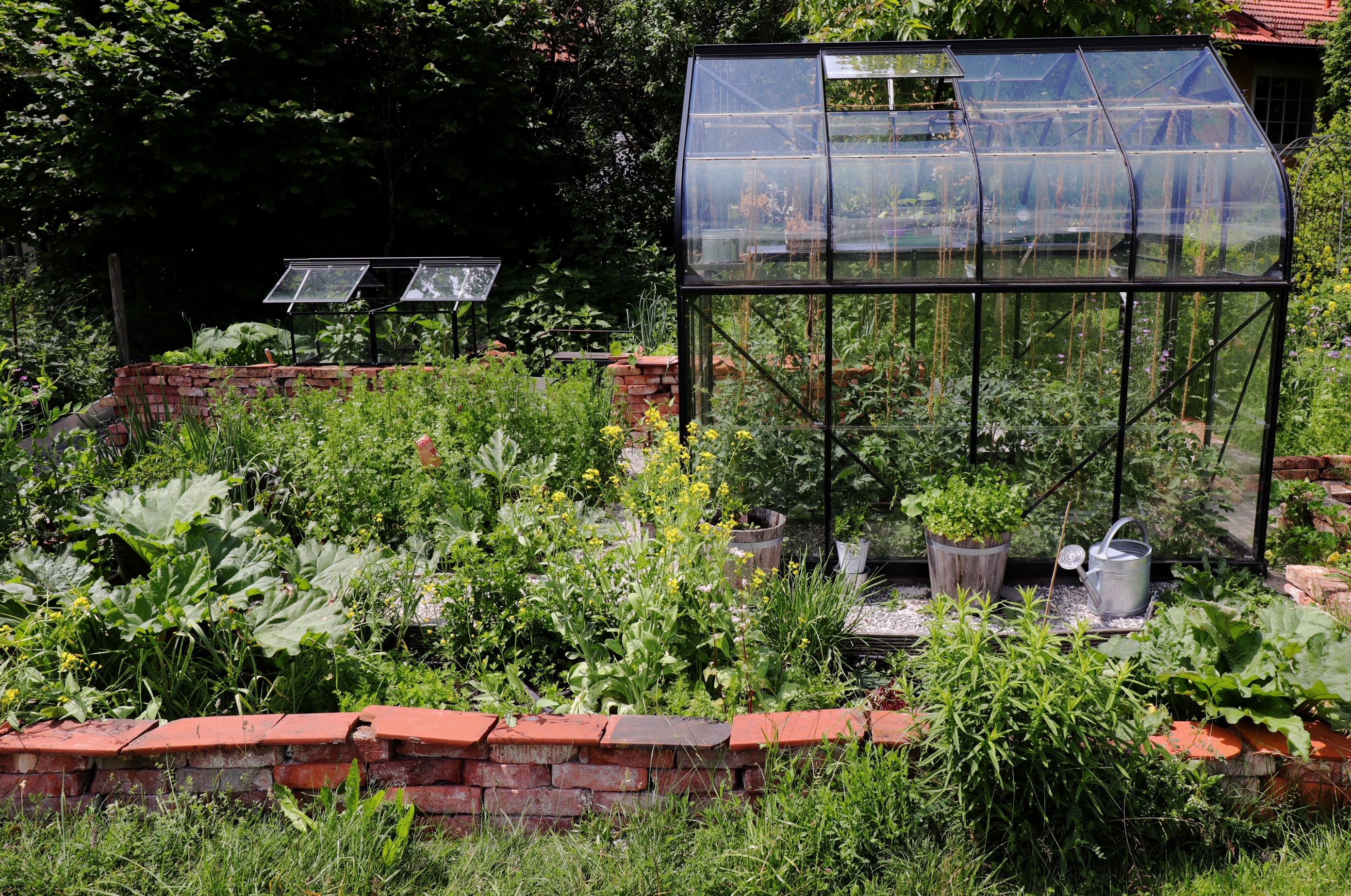 Gewinner Fotowettbewerb Halder Orion 2