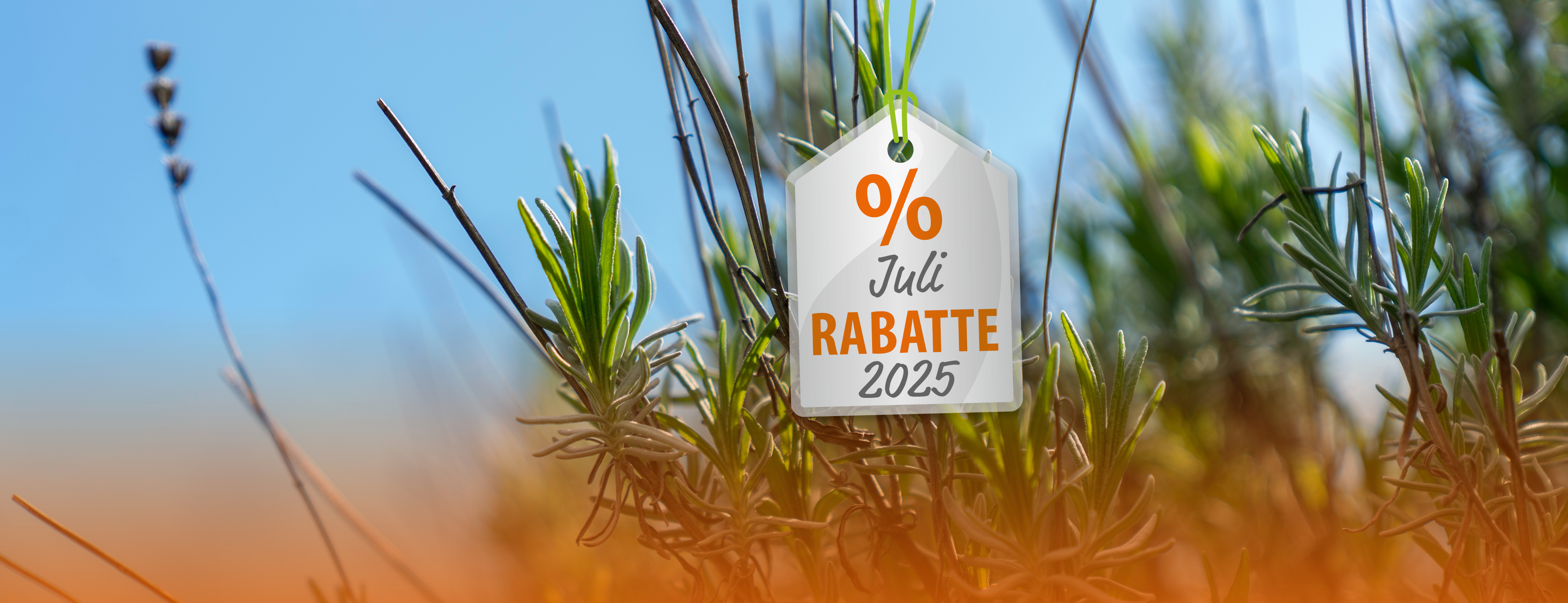 Header Werbeaktionen Juli 2025