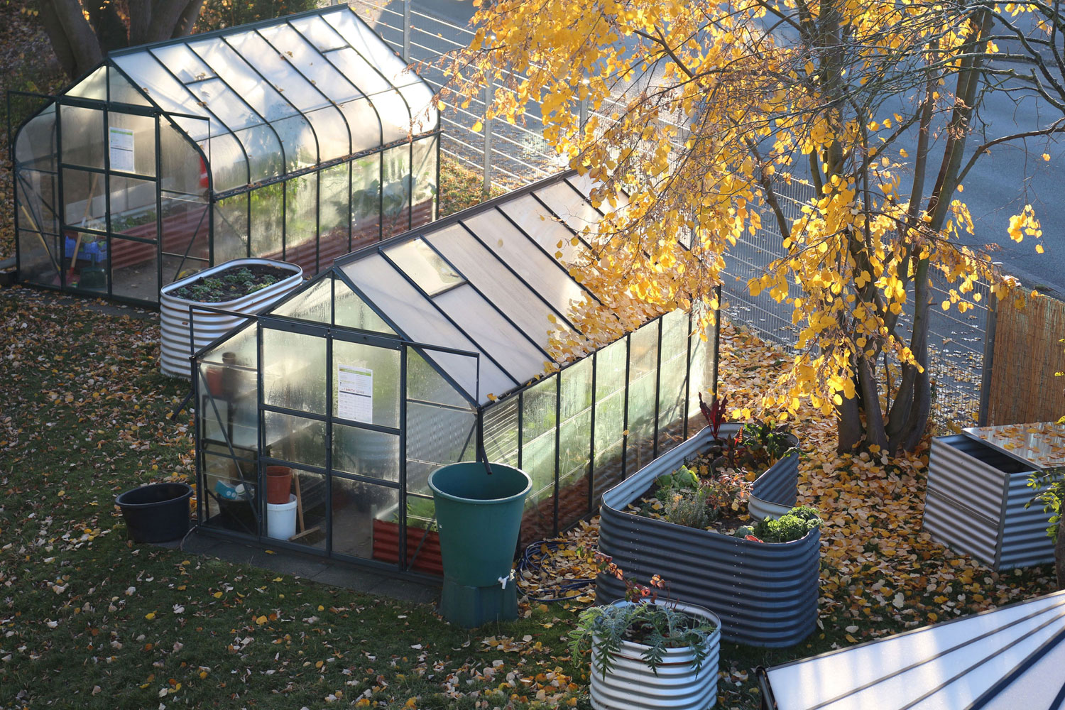 Vitavia-Gewächshäuser der Musterausstellung auf dem Firmengelände von E.P.H Schmidt im Herbst. Der Blick fällt von leicht oben auf die Häuser herunter, wodurch Spiegelungen deer Morgensonne auf dem Dächern zu erkennen sind.