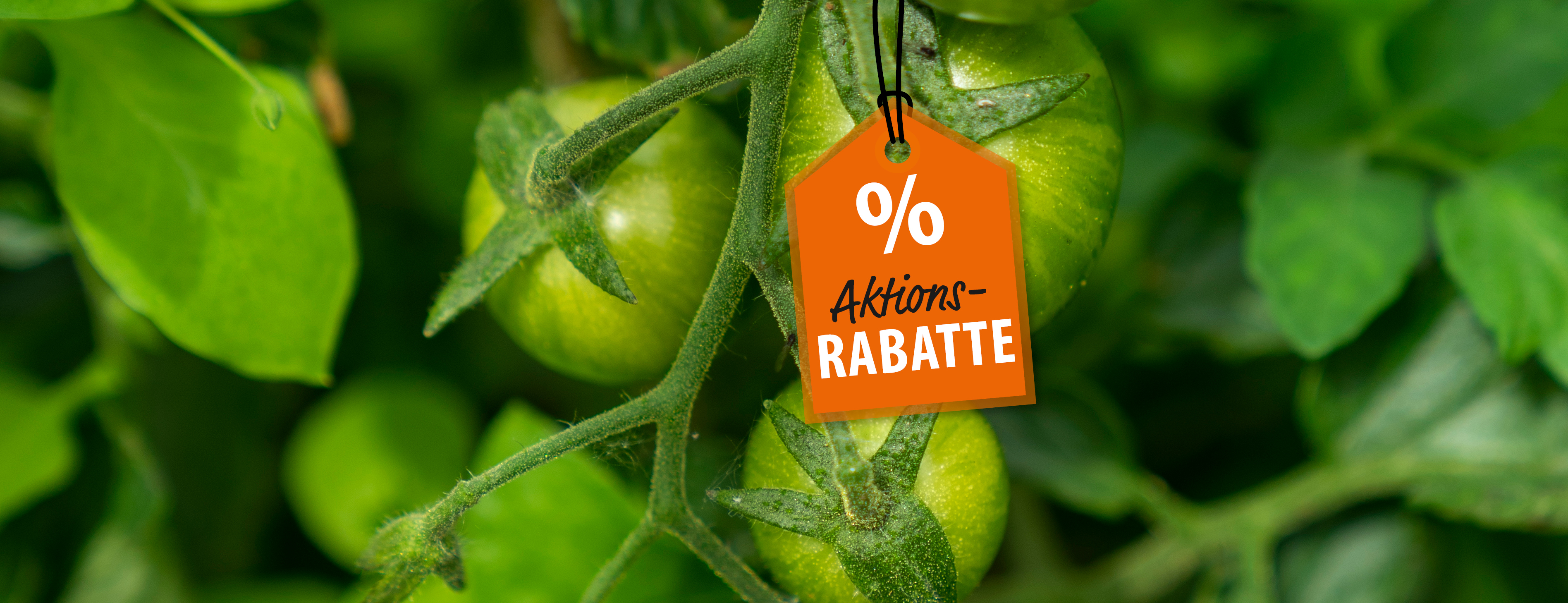 Header_Webbanner_Febr