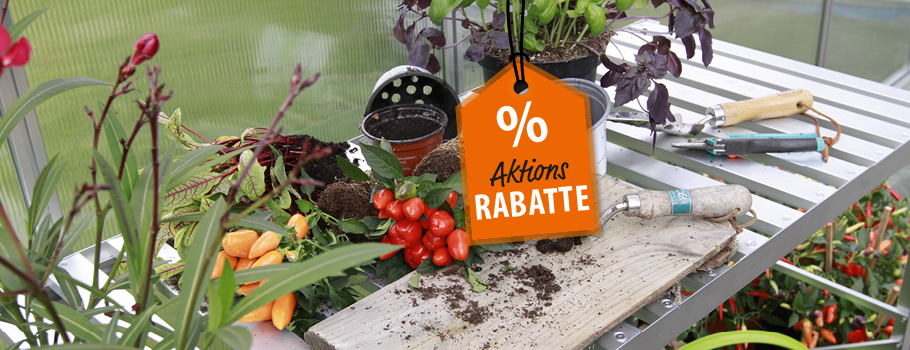 Header_Bannerwerbung