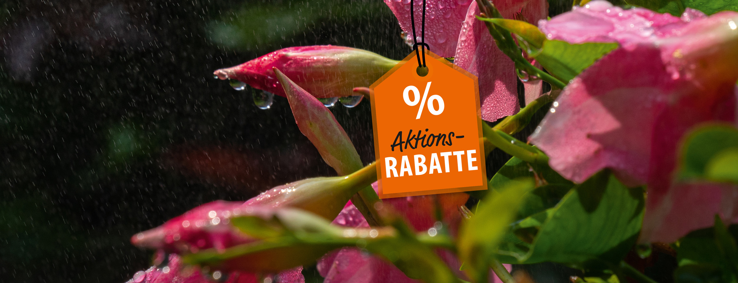 header2_Webbanner_Juli