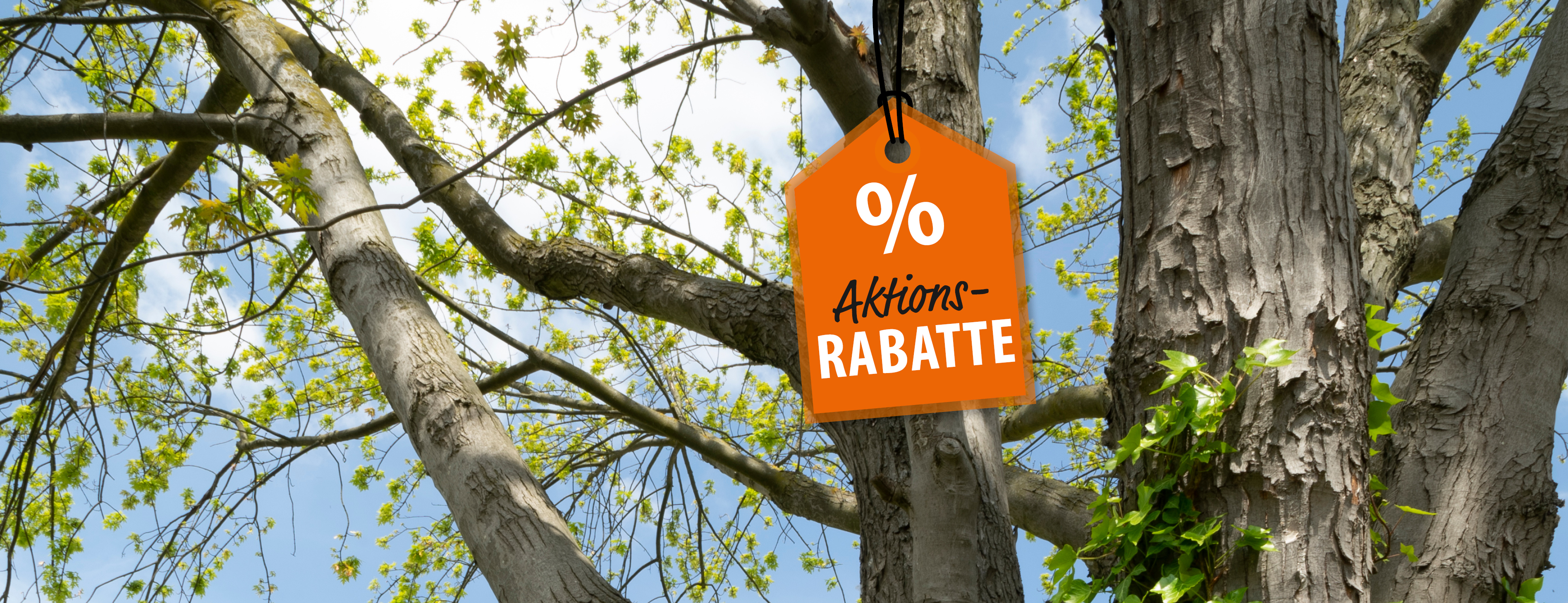 header_Webbanner_Jul