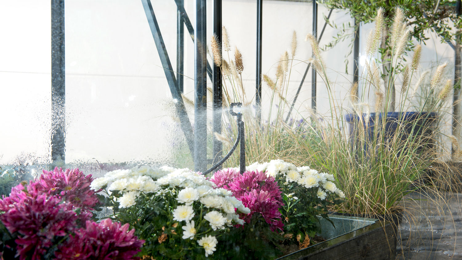 Bewässerungssystem MGS48, Farbe: Schwarz pulverbeschichtet