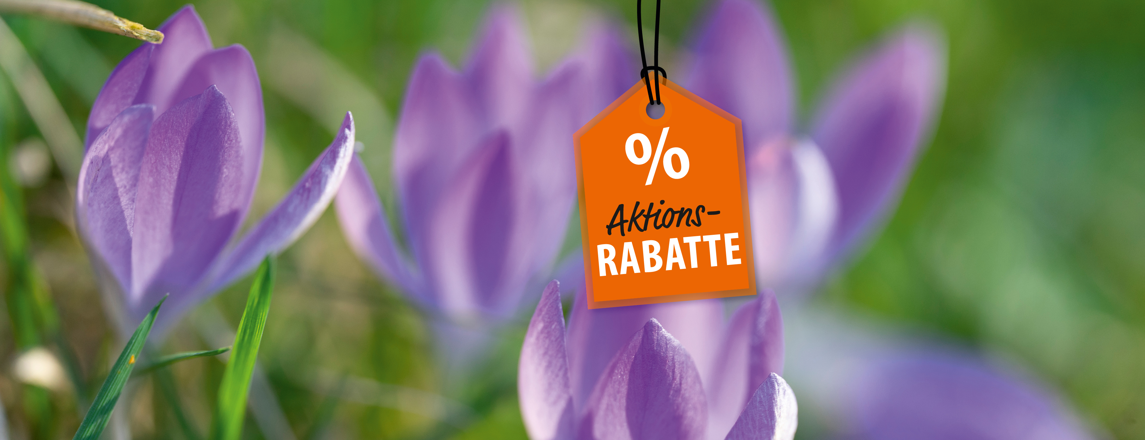 Header_NEU_Juni_2023_