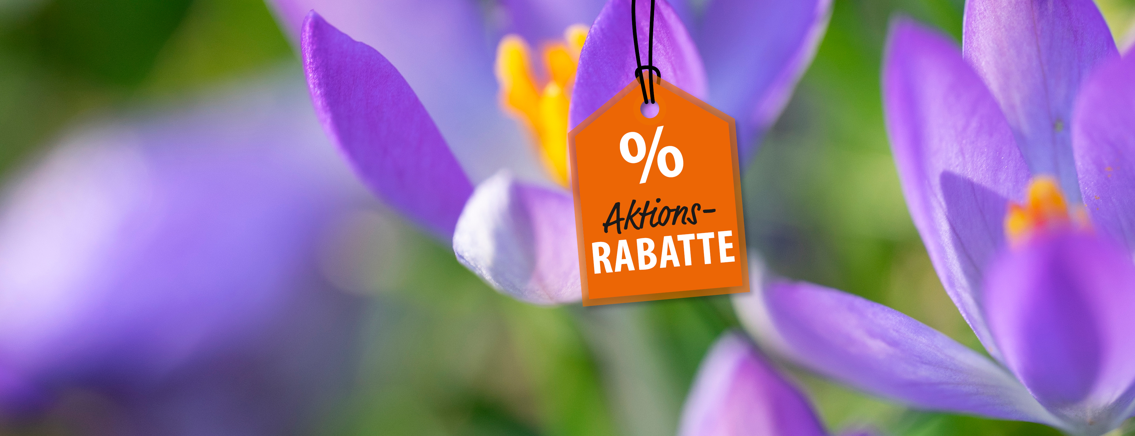 eader_Sept_2024_910x350_300dpi