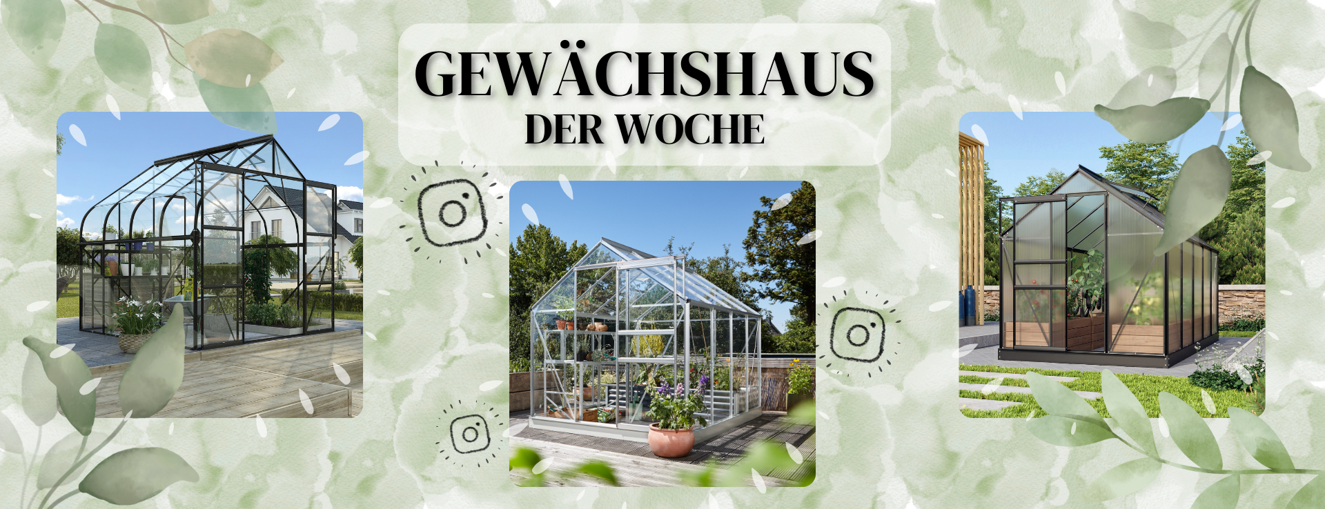 Neues Instagram Format: Gewächshaus der Woche